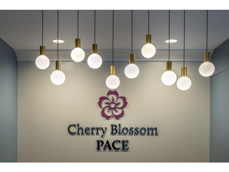 Cherry Blossom PACE